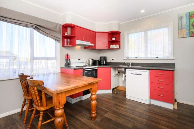 14 Mcclure Street Feilding_2