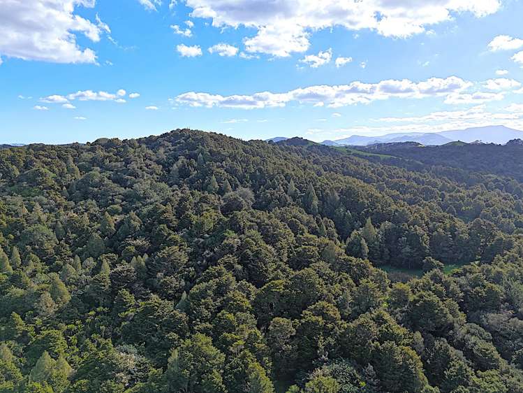 Ounuwhao Road Dargaville Surrounds_15