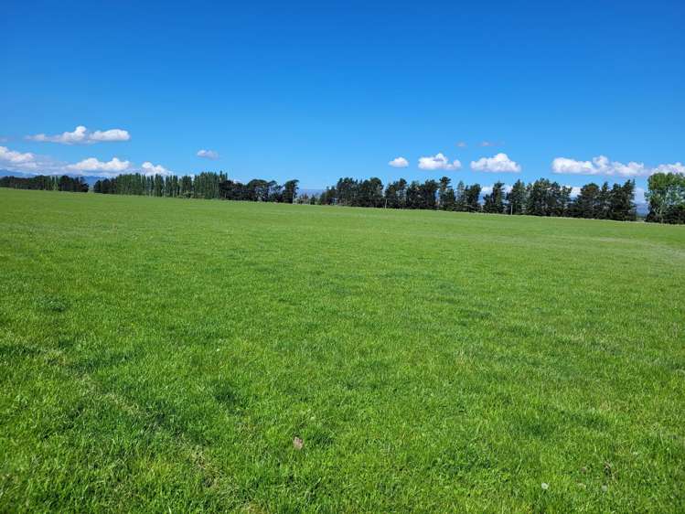 Wallington Road Omakau_25