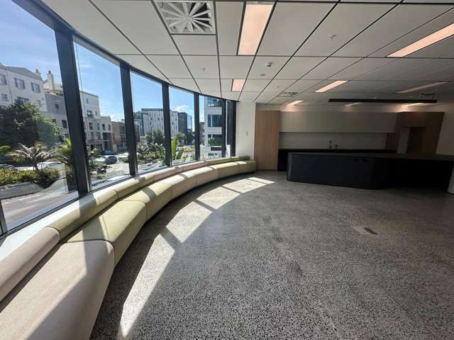 105 Carlton Gore Road Newmarket_3