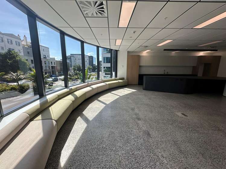 105 Carlton Gore Road Newmarket_3