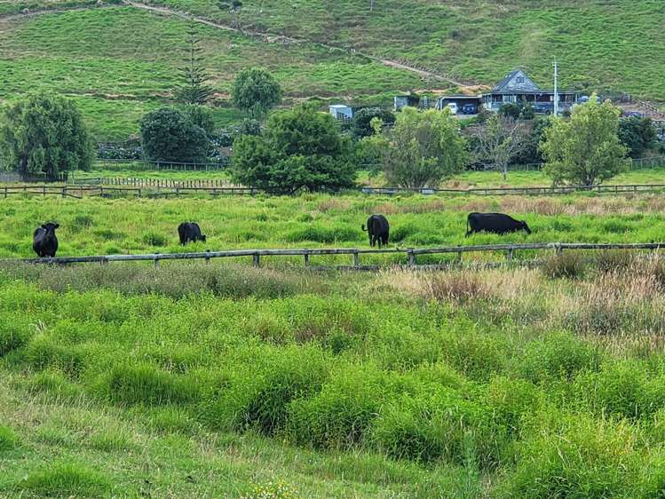 1469 Tuakau Bridge-Port Waikato Road Tuakau_20