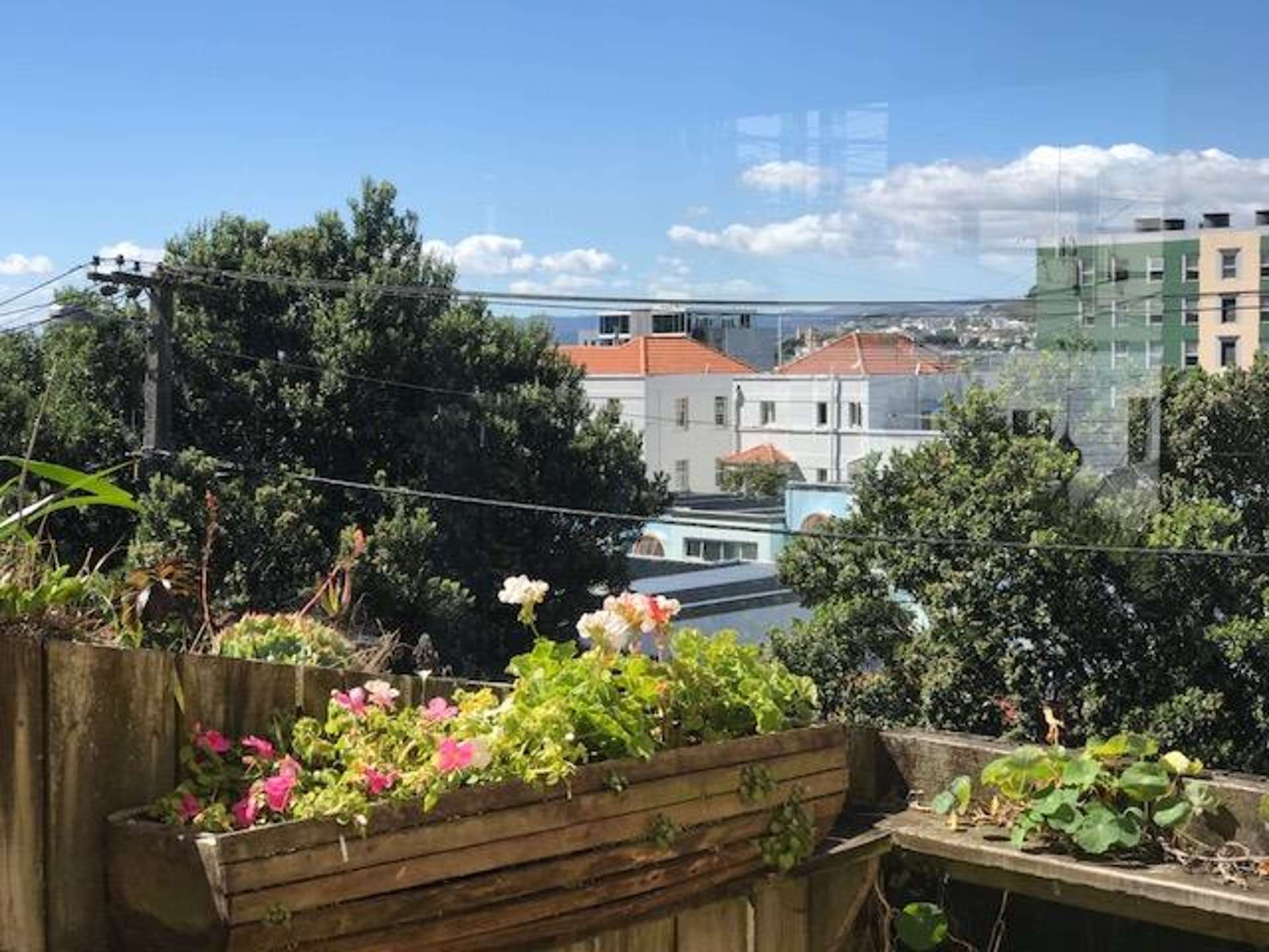 2/18 Ohiro Road Aro Valley_0