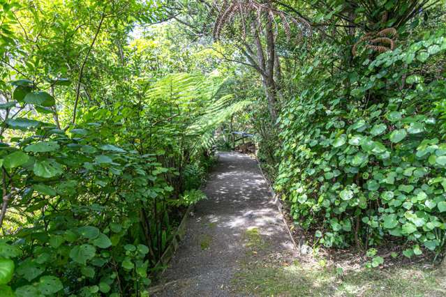 11 Kowhai Place Coromandel_4