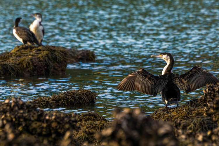 252 Matapouri Road Tutukaka_29