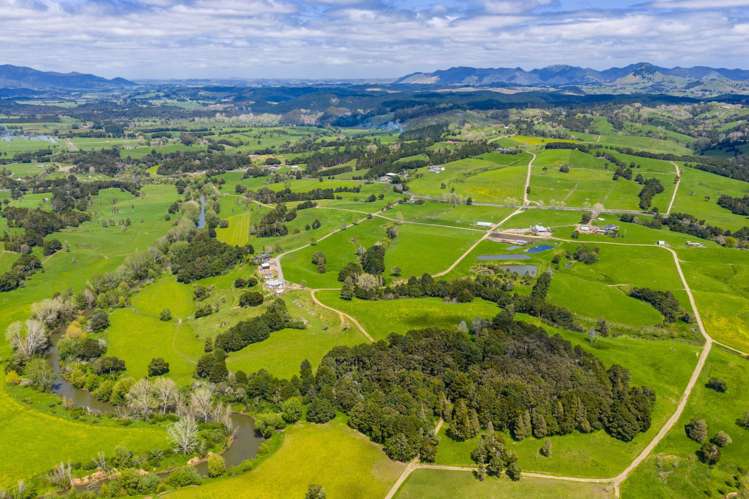 Mangakahia Road Titoki_1