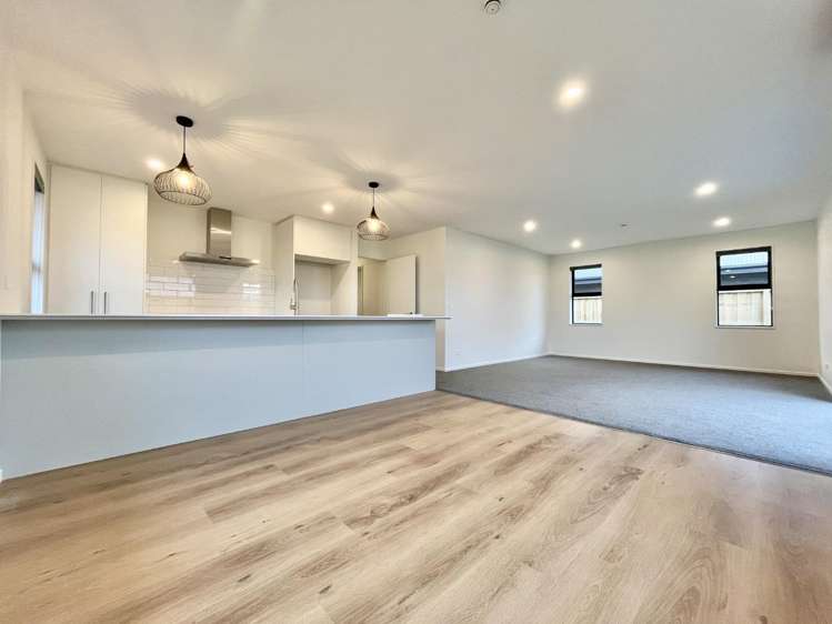 130 Jean Archie Drive 11103_8