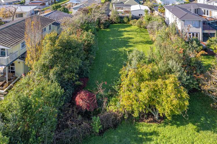 39a Brassey Road Saint Johns Hill_6