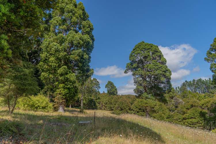 184 Hikuai Settlement Road Hikuai_19