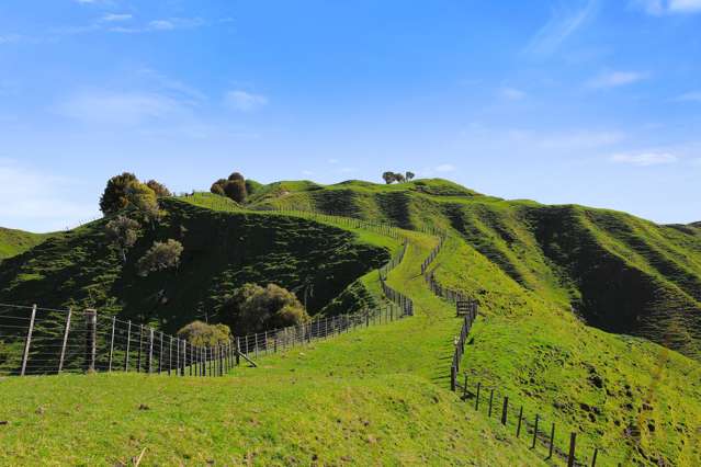 292 Aramahoe Road Taumarunui_4