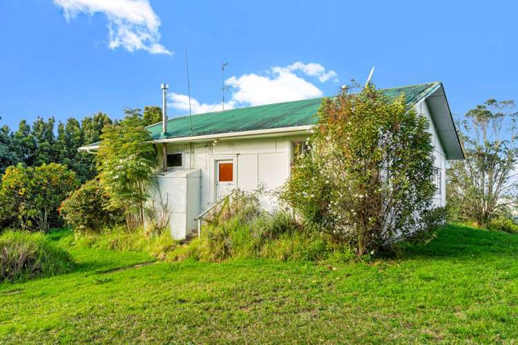 1 Buckleys Track Paremoremo_6