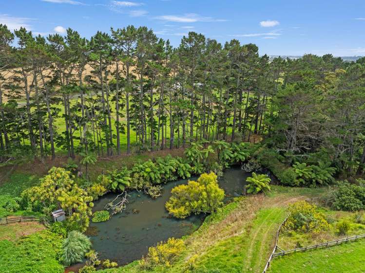 287 Taurangaruru Road Waiuku_16