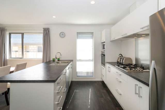 25a Francis Street Blenheim Central_3