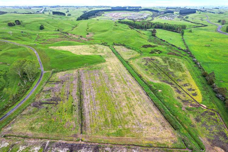 61 Hampton Downs Road Te Kauwhata_4