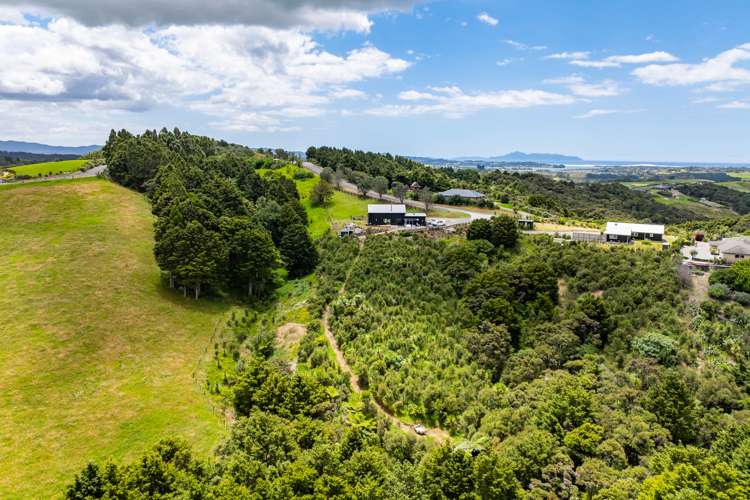 421 Cames Road Mangawhai_27