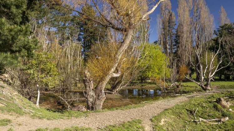 Lot 1 Mikimiki Road Masterton_17