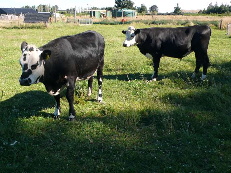 9 Lewis Road Oxford_8