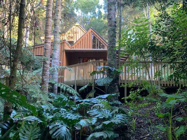22 Kopiko Road Titirangi_18