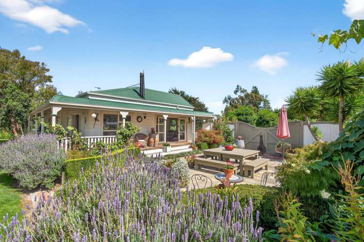 41 Oxford Street Martinborough_27