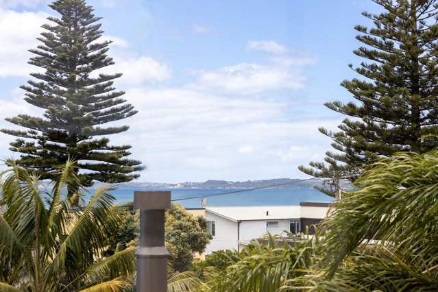 363C Hibiscus Coast Highway Orewa_4