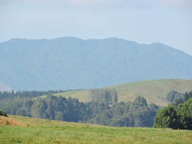 Taotaoroa Road Matamata_1