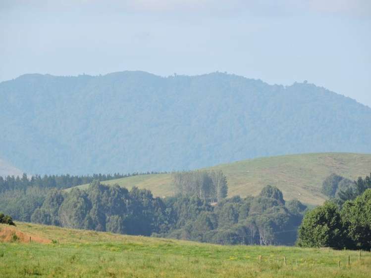 Taotaoroa Road Matamata_1