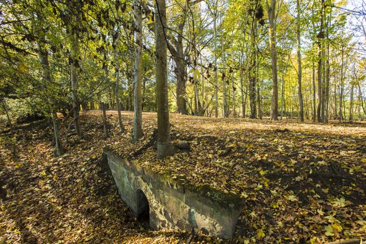 541 Beaconsfield Road Pareora West_16