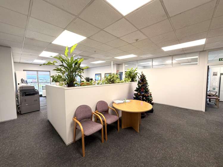 15 Daly Street Hutt Central_2