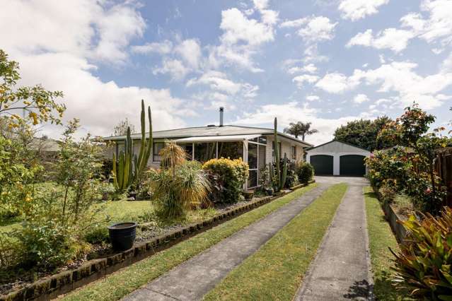 7 Maitland Street Greerton_4