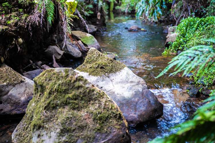 317 Waipapa Road Kerikeri Surrounds_5