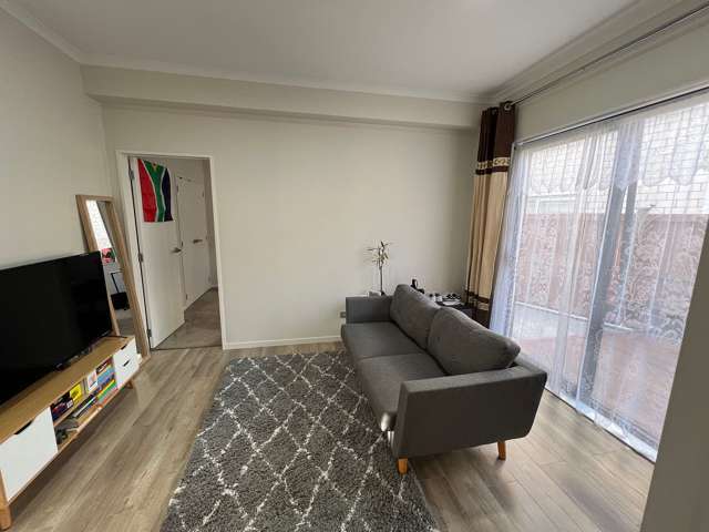 89 Tir Conaill Avenue Flat Bush_3