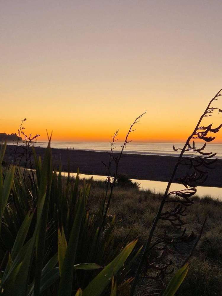 48a Pitcairn Street Oakura_24