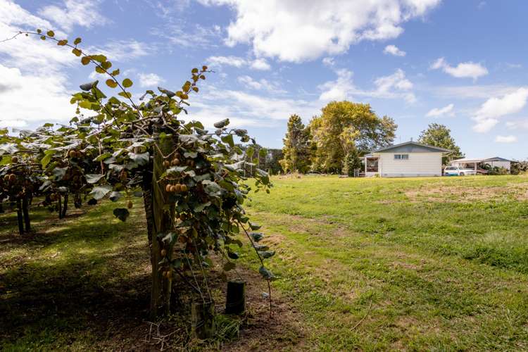 764b Te Matai Road Te Ranga_10