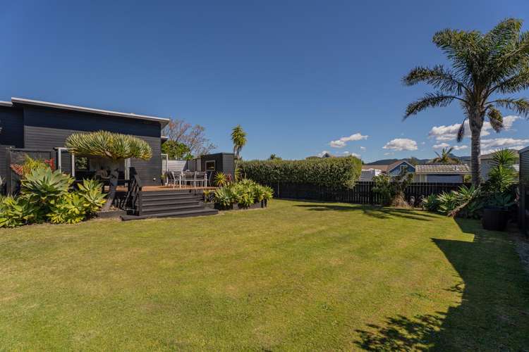 7 Ajax Head Pauanui_18