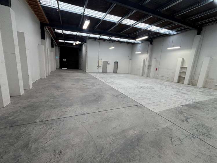 104 Coleridge Street Sydenham_5