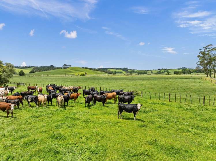 6496 State Highway 1 Pakaraka_12