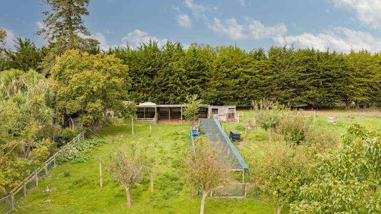 16 Swamp Road Ongaonga_24