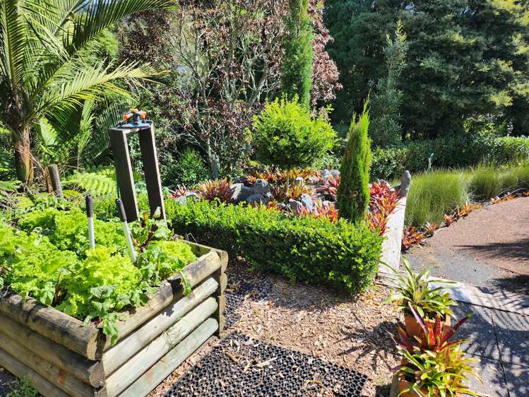 42 Mcentee Road Waitakere_12