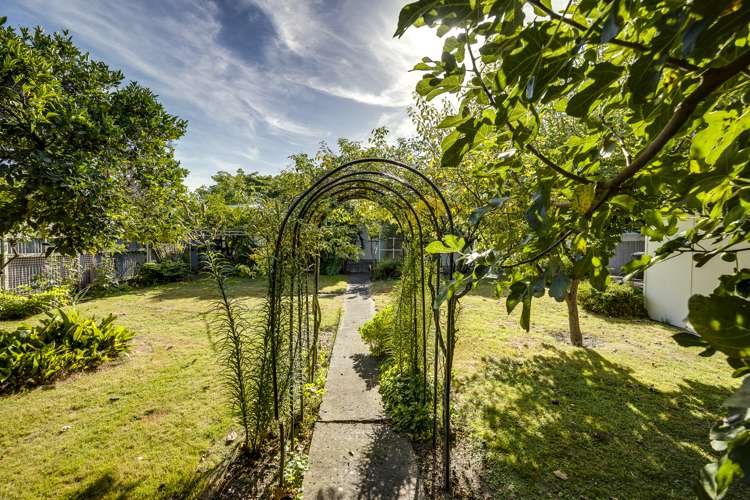 4 Veronica Avenue Marewa_12