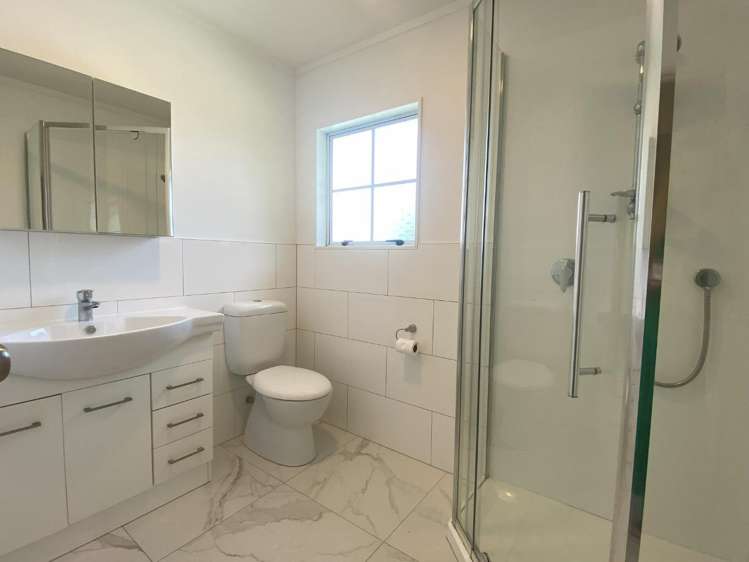 181A Foley Quarry Road Dairy Flat_11