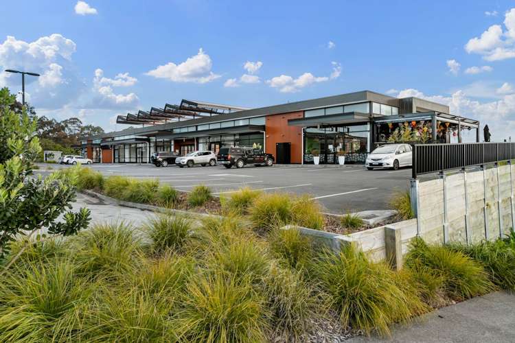 65 Greville Road Pinehill_5