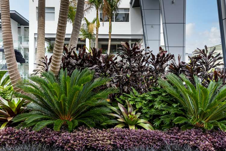 21/30y York Street Parnell_15