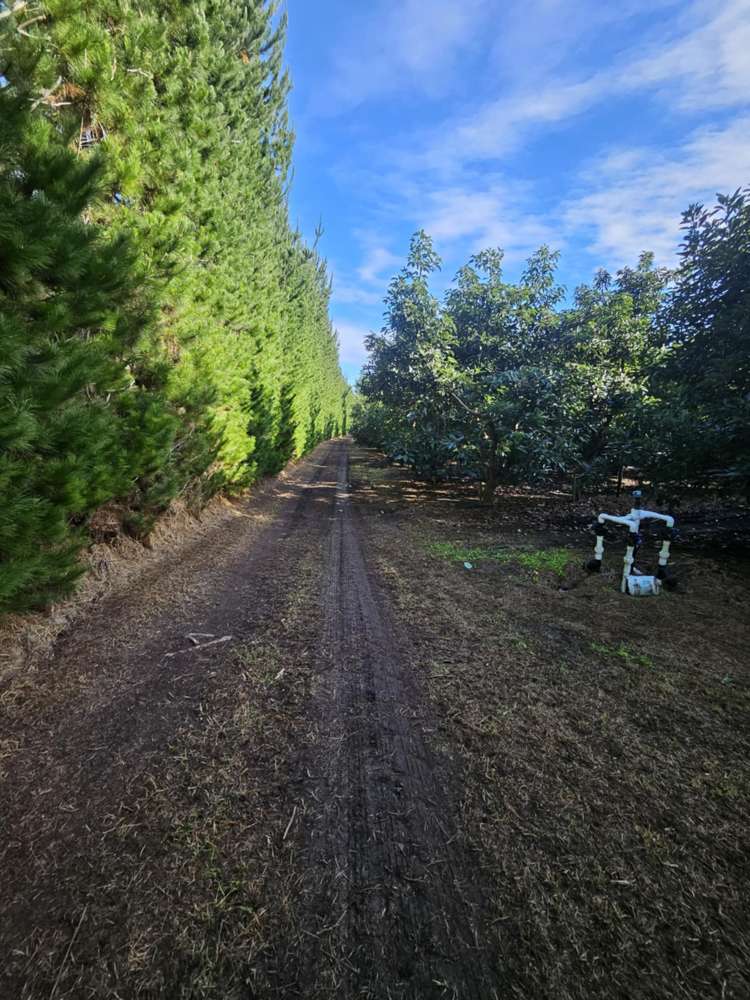 Heath Road Waiharara_16