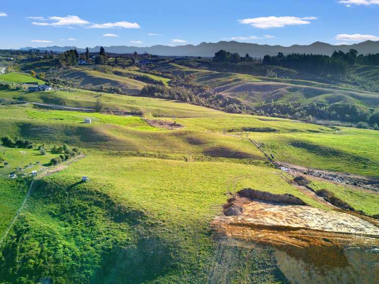 Kamana Estate Mapua_6