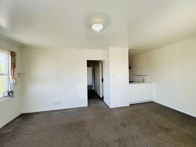 3/13A Arran Street Avondale_3
