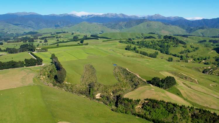 188 Burnetts Road Kaituna_19