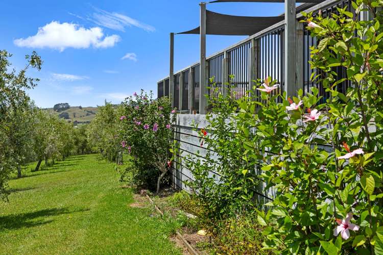 72 Leccino Valley Road Mangonui_30