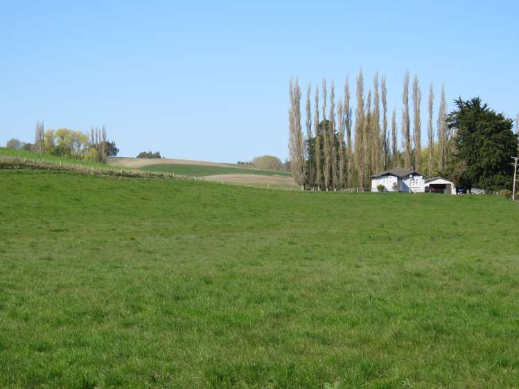 30 Mcintyre Road Waikaka Valley_19