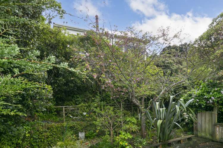 13 View Road Houghton Bay_15