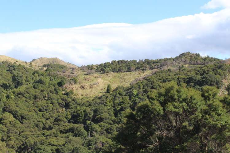 299 Branscombe Road Pongaroa_7